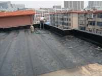 2025新澳门2025原料网