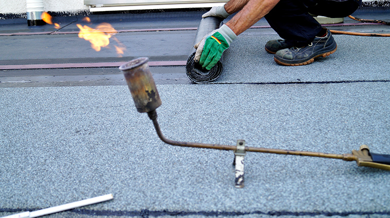 2025新澳门2025原料网